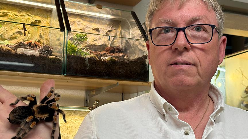 Erich Starlinger züchtet Spinnen