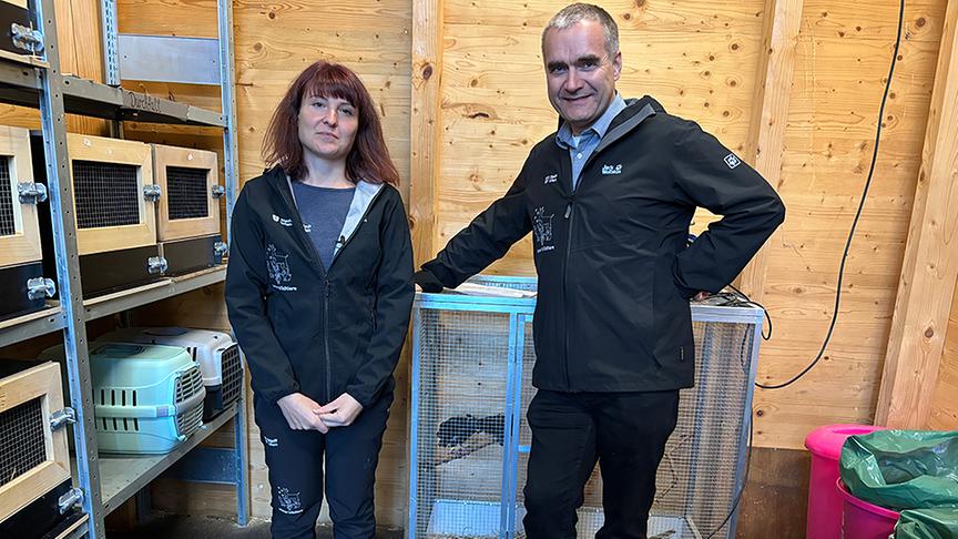 © Foto: ON-Media Carina Killian und Günther Annerl pflegen Tauben