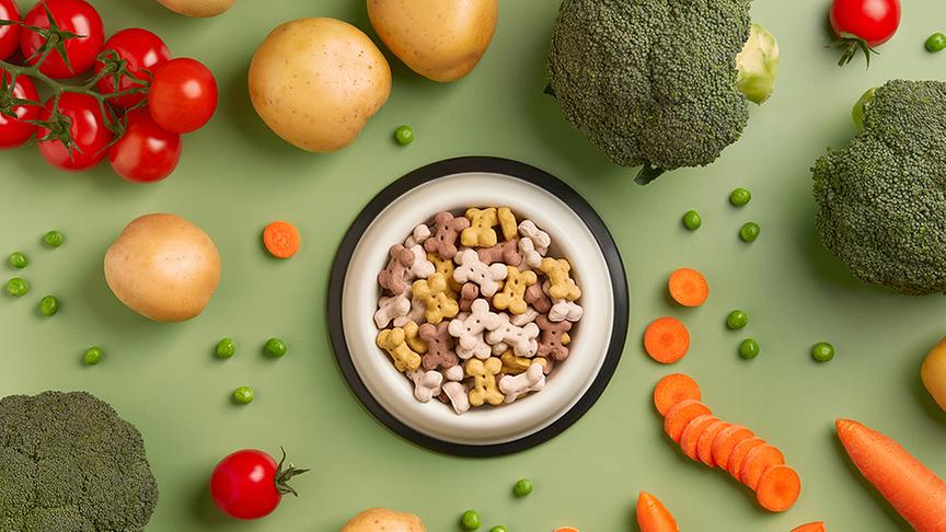 © iStock/ Dariia Chernenko Hundetrockenfutter mit Gemüsezugabe