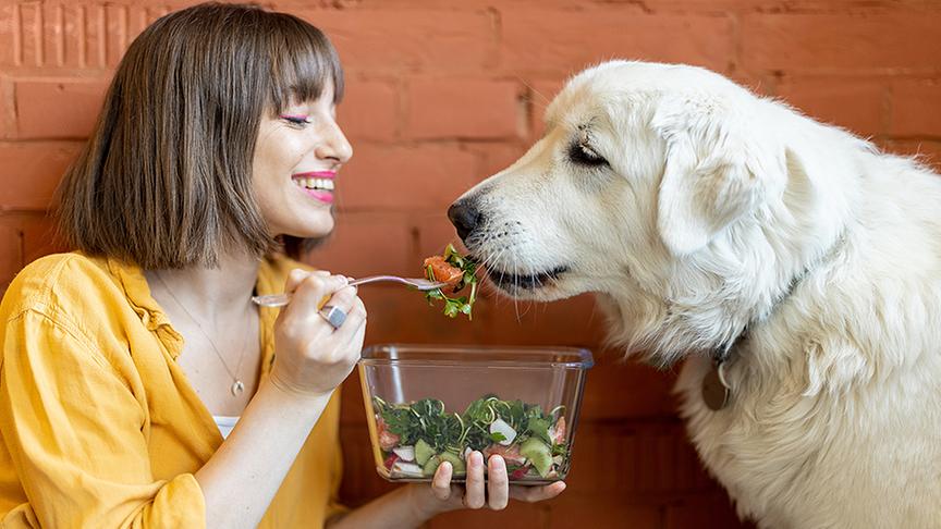 © iStock/ Ross Helen Eine Frau füttert ihren Hund mit der Gabel