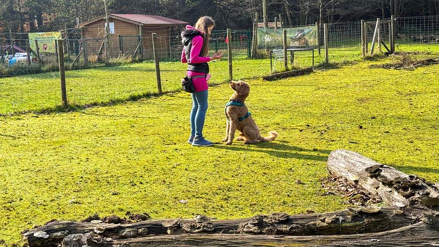 Im Bild: "Assistenzhunde" - Elke Grablechner und Hund Emil.
