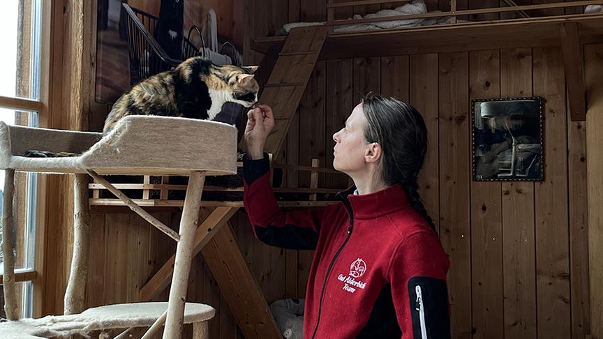 Marianne Wondrak (Tierforschungsstation Haidlhof) zum Thema Futterverweigerung bei Haustieren