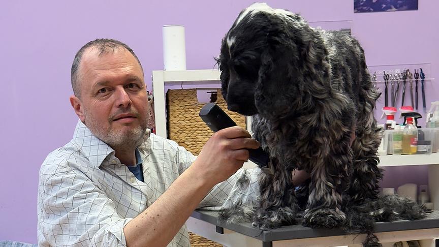 Hund "Rusty" beim Hundefriseur Alexander Hysek.