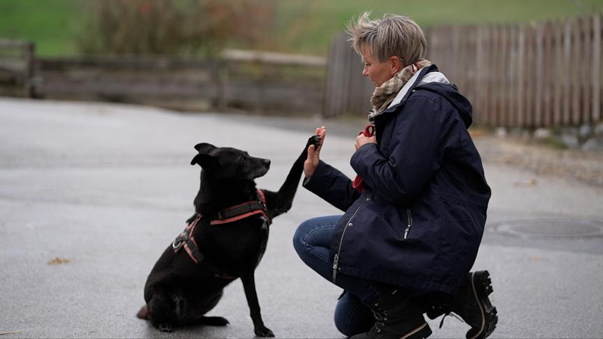 © ORF Hundekekse zum Selberbacken