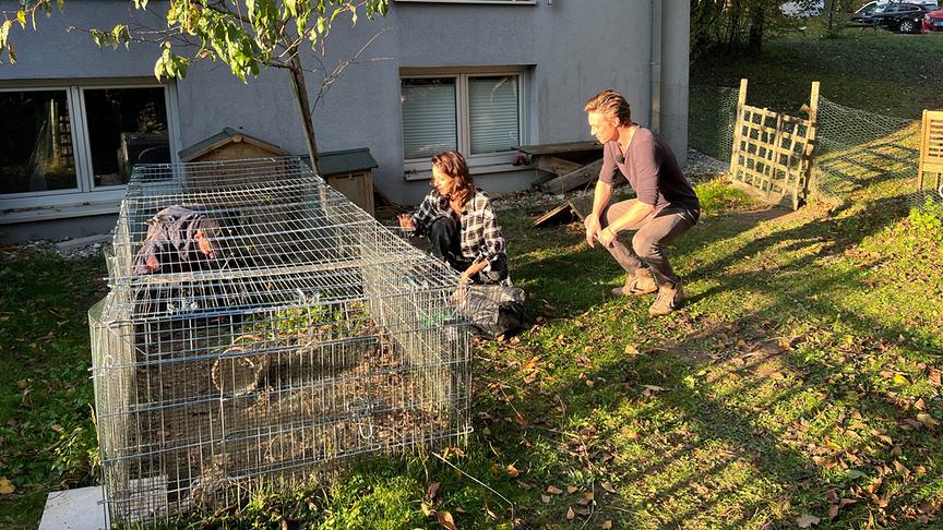 Im Bild: "Tierische Augenblicke" besucht die Musical-Stars Marjan Shaki und Lukas Perman.