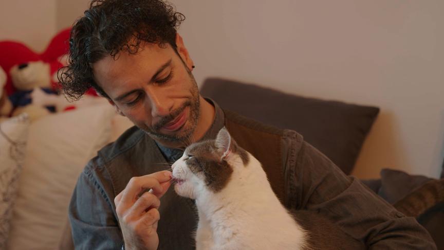 Danilo Campisi und Corinna Kamper haben drei Europäisch Kurzhaar Katzen zuhause.
