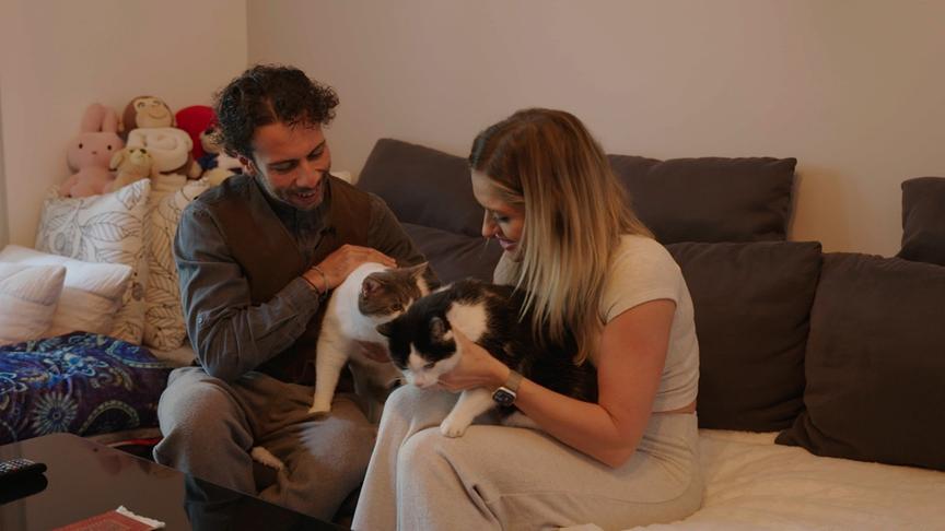 Danilo Campisi und Corinna Kamper haben drei Europäisch Kurzhaar Katzen zuhause.