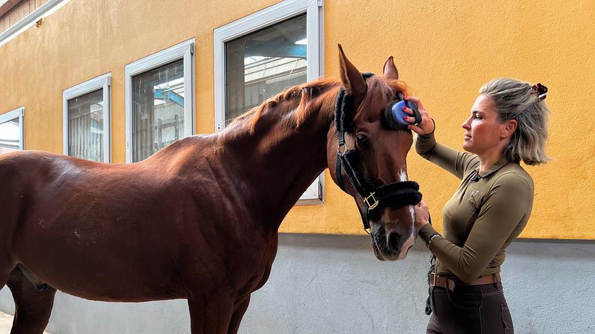 © On-Media Im Bild: "Tierische Augenblicke" besucht Radiomoderatorin Elke Rock auf dem Reiterhof.