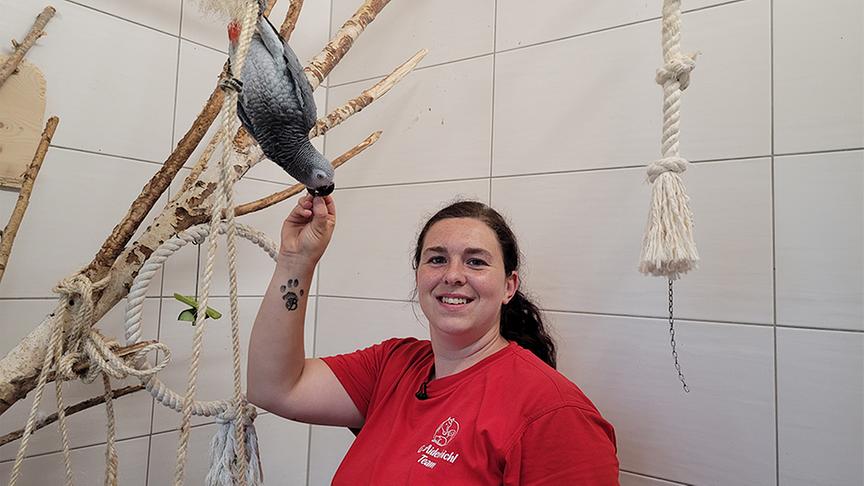 Tierpflegerin Stefanie Greiner trainiert einen Papagei.