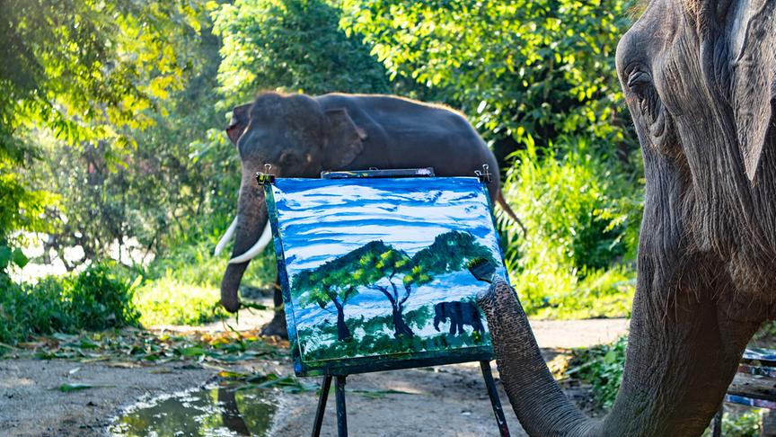 © Foto: ORF/Doclights GmbH/Text und Bild Medienproduktion/Robert Sigl Ein Elefant malt mit einem Pinsel in seinem Rüssel ein kunstvolles Gemälde einer Landschaft mit Himmel, Bäumen und einem Elefanten, das der hinter der Leinwand zu sehenden Szenerie ähnlich sieht.