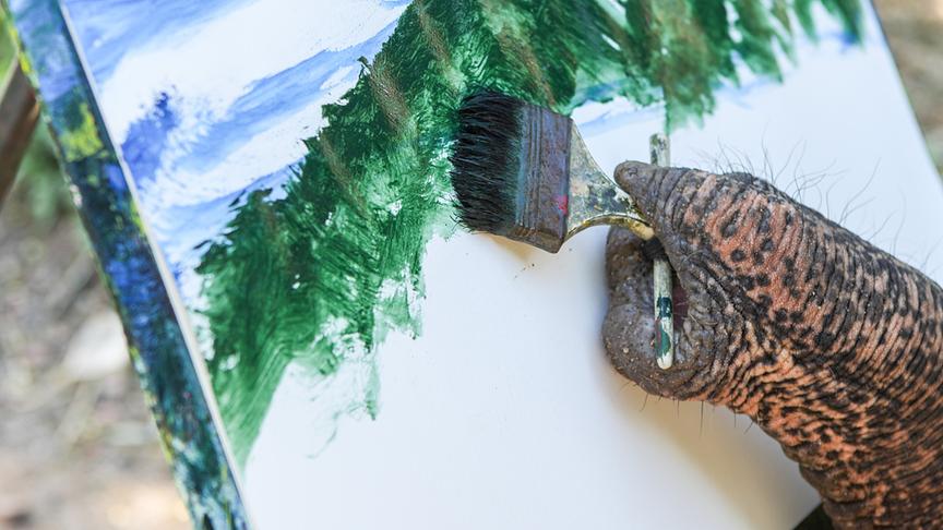 © Foto: ORF/Doclights GmbH/Text und Bild Medienproduktion/Robert Sigl Ein Elefant hält mit dem Rüssel einen Pinsel und malt auf eine Leinwand.