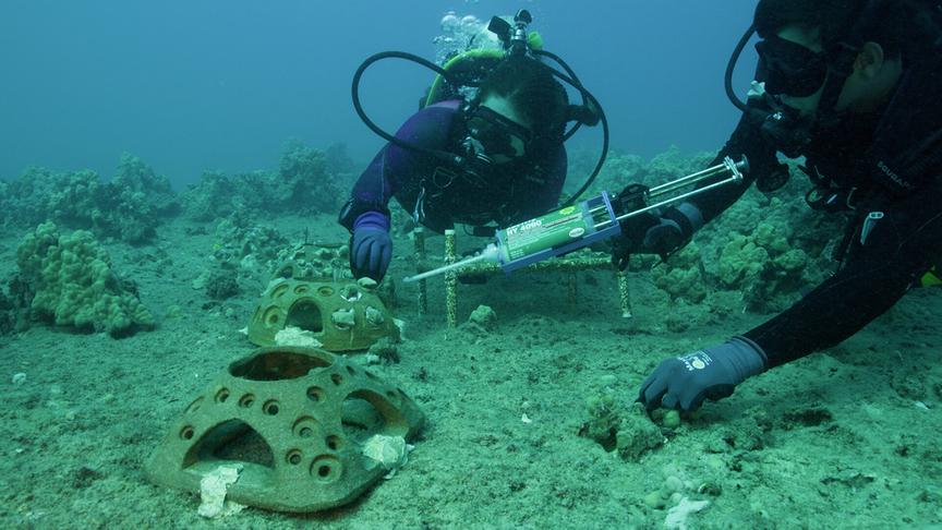 Im Bild: Kuleana Coral – Riff Restaurierung und freiwilliger Umweltschutz gehört in Hawaii zum Alltag.