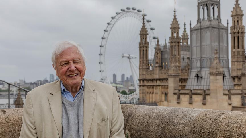 Ein älterer Herr an eine Mauer gelehnt; im Hintergrund das London Eye.