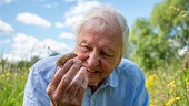 Ein älterer Herr lässt in einer hohen Wiese mit vielen Blumen eine kleine Feldmaus über seine Finger krabbeln.