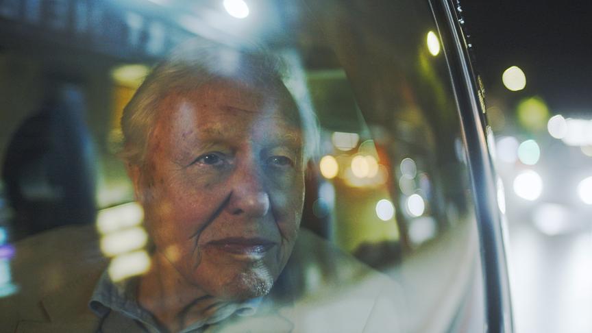 Ein älterer Herr blickt durch die Fensterscheibe eines Autos hinaus.