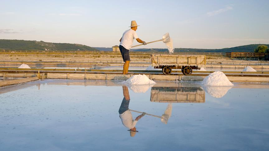 Aus der glatten Wasseroberfläche heraus ragen weiße Salzhügel, die von einem Mann in einen Anhänger geschaufelt werden.