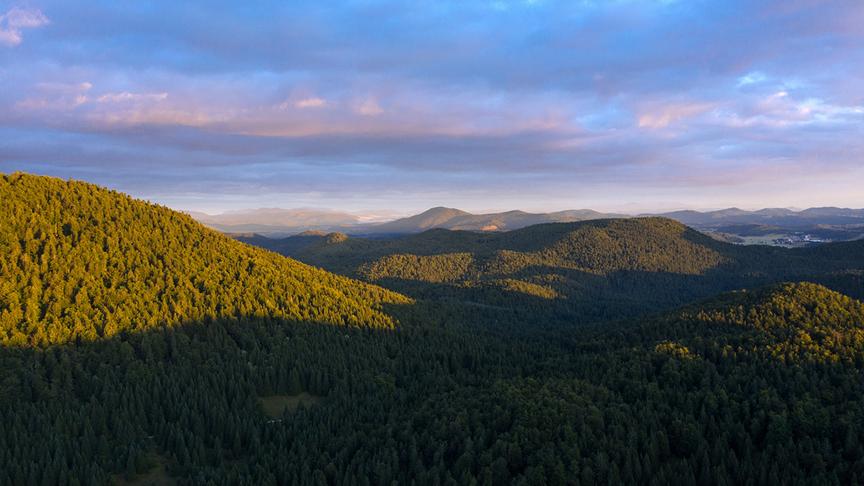 Bewaldete Hügel, die von der Sonne angestrahlt werden, während Schatten in den Tälern dazwischen sind.