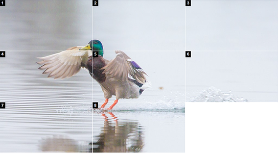 Eine Ente landet im Flug mit Beinen voran in einem Gewässer und spritzt dabei Wasser auf. Das Foto ist in neun Raster geteilt, die je eine Nummer im linken oberen Eck haben. Ein Raster ist komplett weiß. Das Foto zeigt beispielhaft ein Sliderpuzzle.