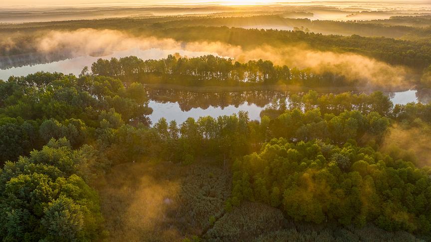 Ein Wald mit einer Seenlandschaft im Nebel.