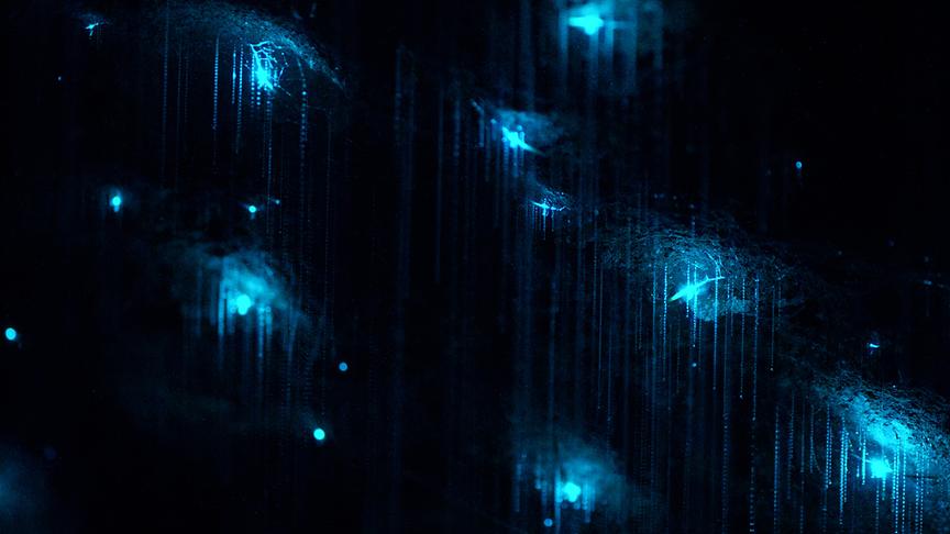 In der Dunkelheit leuchten vereinzelt blaue Lichtflecken.