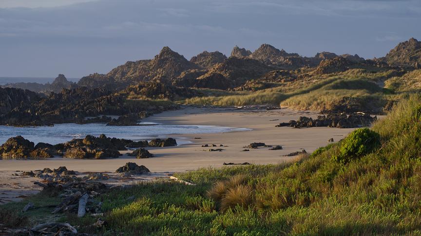 Strand mit wilden, rauen Felsformationen und Bewachsung
