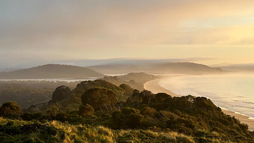 Mehrere Inseln mit Strand und grüner Bewachsung in einer milchigen Atmosphäre