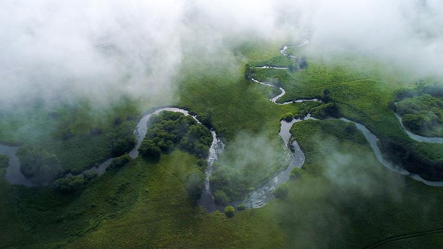Ein Fluss schlängelt sich durch eine grüne Landschaft mit Nebel.