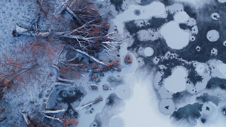 Eine winterliche Landschaft mit umgefallenen Bäumen auf einer zugefrorenen Wasseroberfläche.