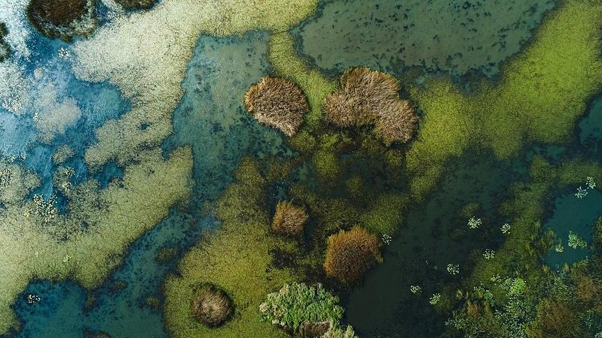 Eine von oben fotografierte Moorlandschaft mit grüner Bewachsung, die ein kunstvolle Landschaft kreiirt.