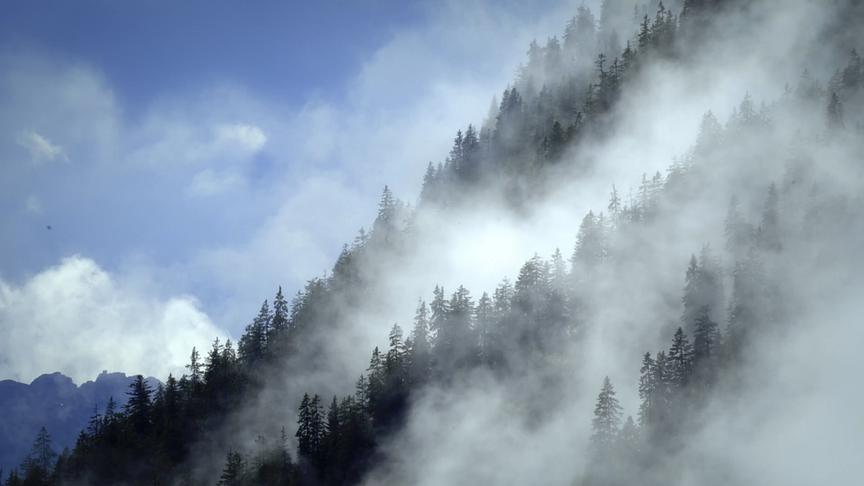 Im Bild: Nebelfelder.