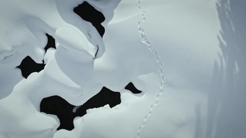 © Foto: ORF/Wega Film/Blue Danube Media Im Bild: Verschneite Rosanna.