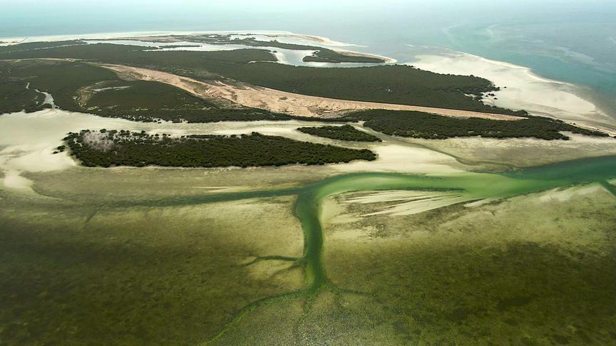 Waldinsel durchzogen von mehreren Flussläufen