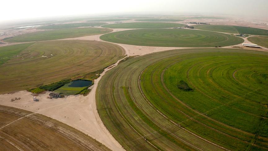 Mehrere kreisförmige grüne Anbauflächen nebeneinander