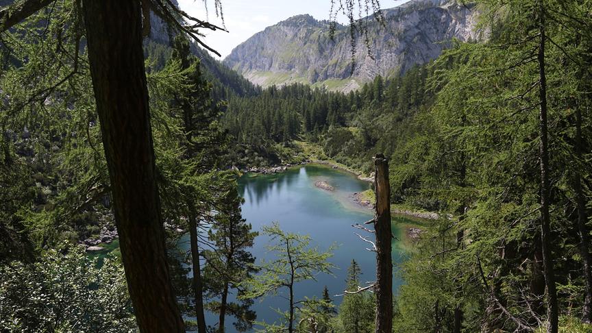 Ein grüner See im Bald und zwischen Bergen.