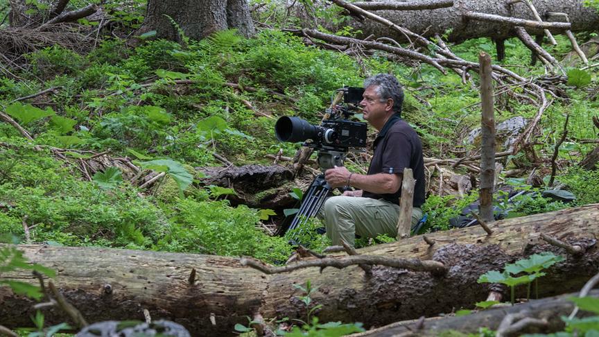 Ein Kameramann sitzt zwischen umgefallenen Bäumen im Wald und filmt.