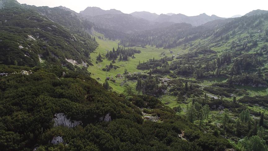 Grün, bergige Landschaft im Nebel und mit einer Hütte.