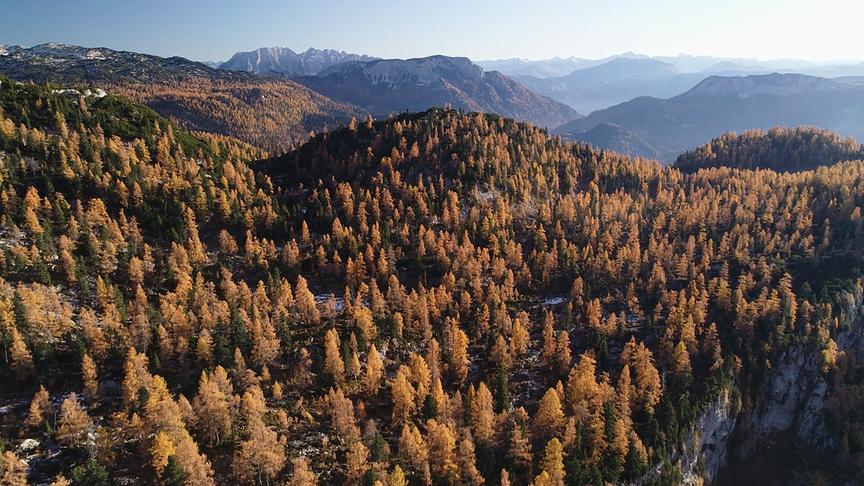 Eine hügelige und bergige Landschaft mit bunt gefärbten Bäumen im Herbst.