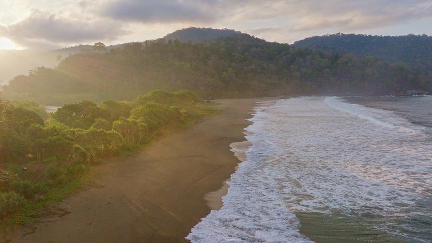 Strand hinter dem sich Regenwald und Hügel erstrecken. 