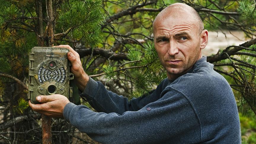 Ein Mann richtet händisch eine Fotofalle an einem Baum aus