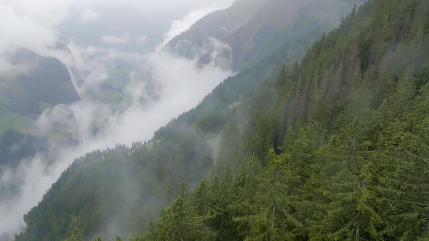 Nebel steigt von steilen, bewaldeten Hängen auf und trübt die Luft.