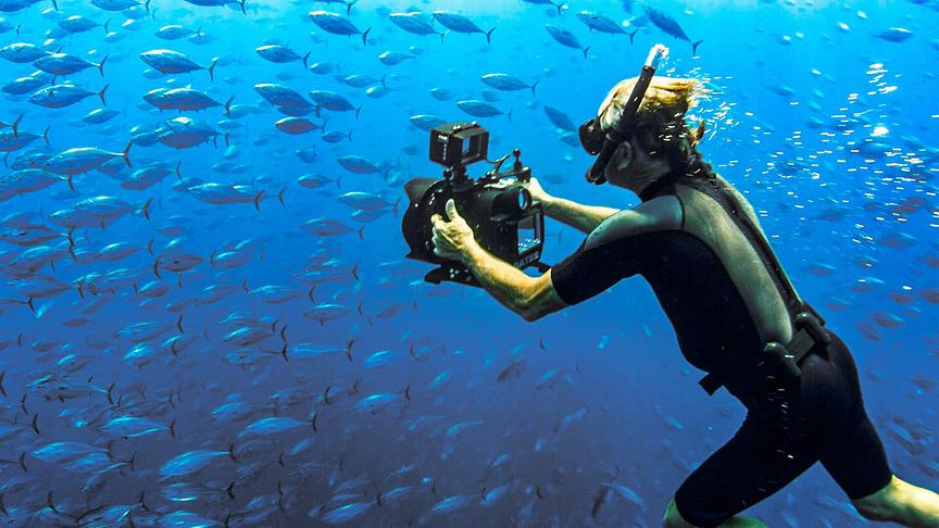 © Foto: ORF/Wild Logic LLC Ein Taucher mit Kamera filmt einen großen Schwarm Fische, die um ihn herumschwimmen.