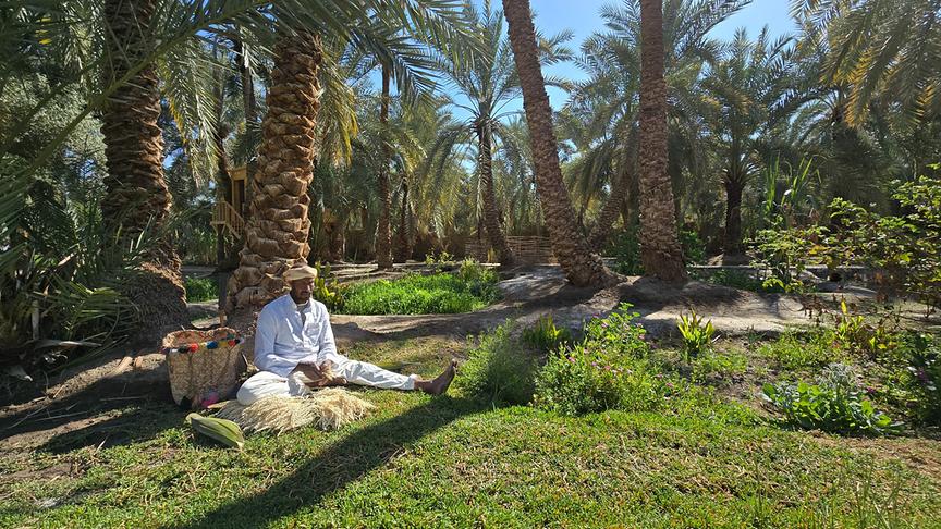 Mann in weißem Gewand sitzt zwischen vielen Dattelbäumen am Boden.