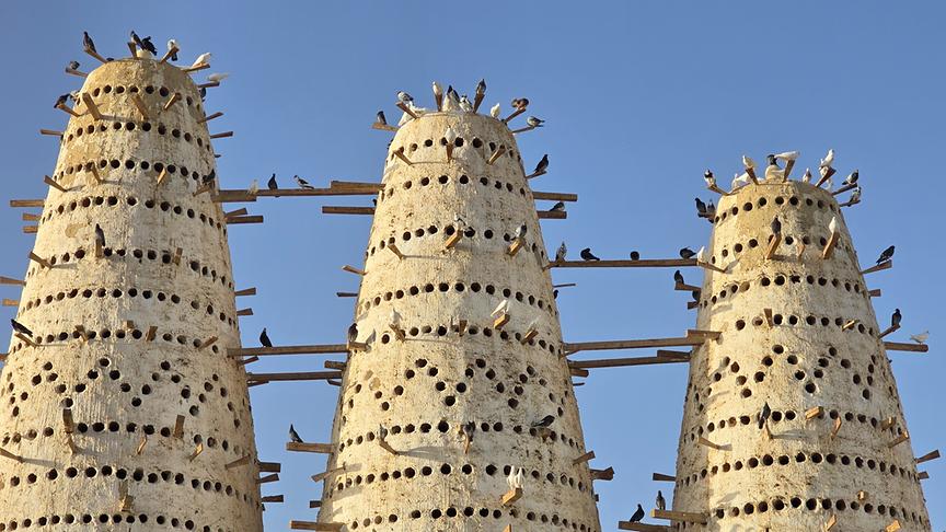 Hohe Kegelbauten mit Mustern aus Löchern, auf denen mehrere Tauben sitzen.