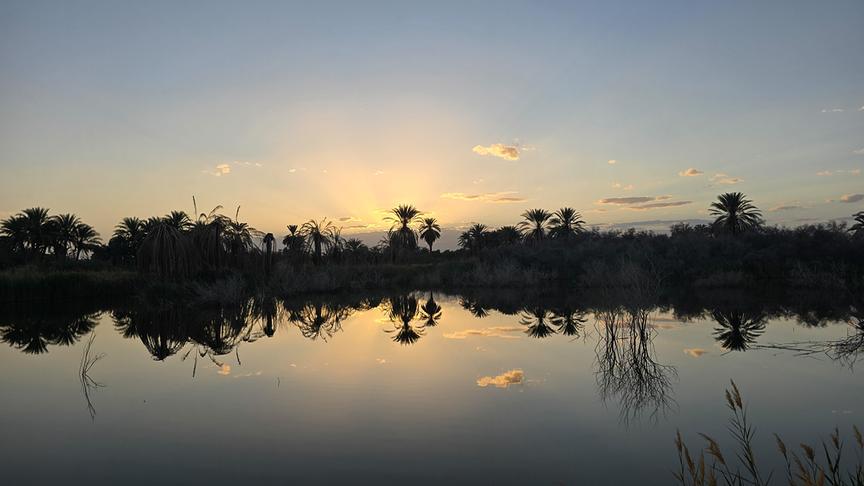Ruhiges Gewässer in der Dämmerung, im Hintergrund Palmen.