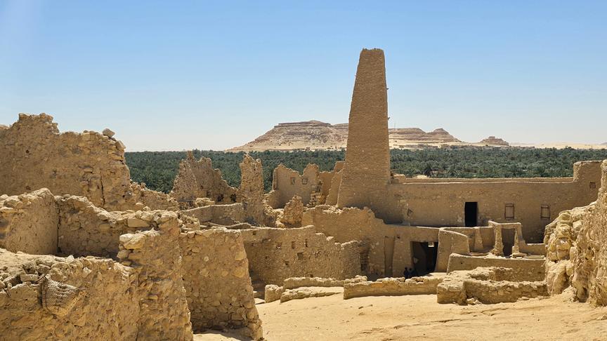 Ruinen von einer aus Stein und Sand erbauten Stadt ragen vor einem Wald empor.