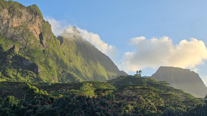 Berge mit vielen grünen Pflanzen und Bäumen, deren Gipfel bereits in den Wolken hängt.