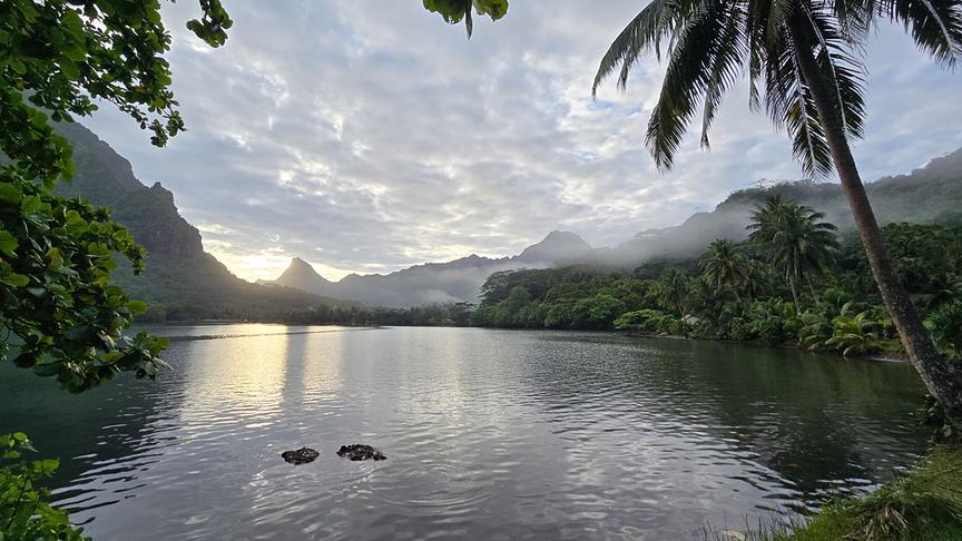 Bucht umgeben von dichter Bepflanzung und Bergen.