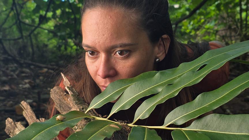 Die Forscherin blickt genau auf ein Blatt, auf dem eine Schnecke sitzt.