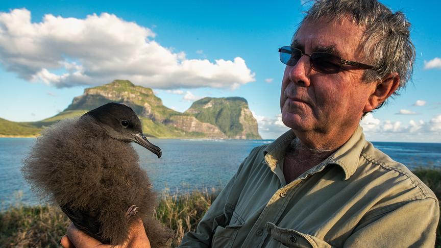 Mann hält flauschigen schwarzen Vogel in den Händen