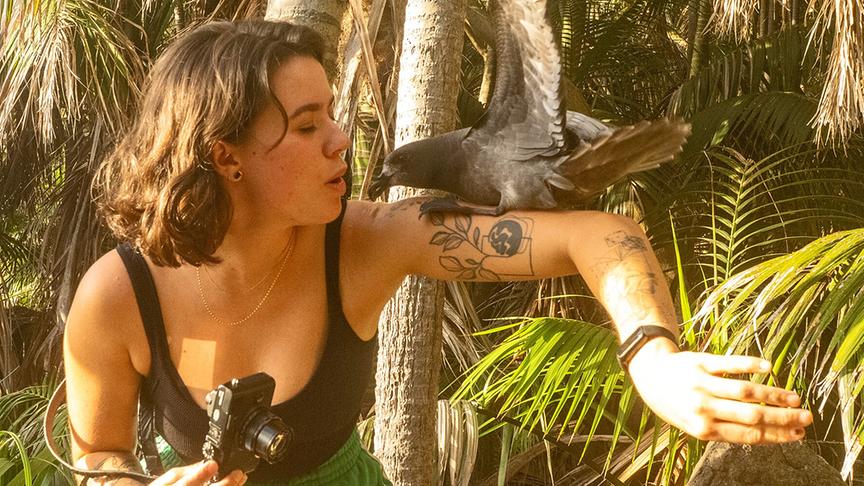 Bräunlicher Vogel landet auf dem Arm einer Frau, die eine Kamera hält